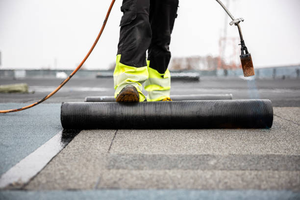 Best Steel Roofing  in Inverness, CA