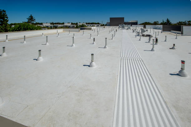 Best Solar Panel Roofing Installation  in Inverness, CA